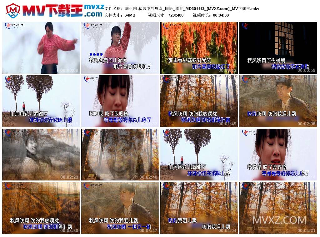 刘小刚-秋风中的思念_国语_流行_MD301112